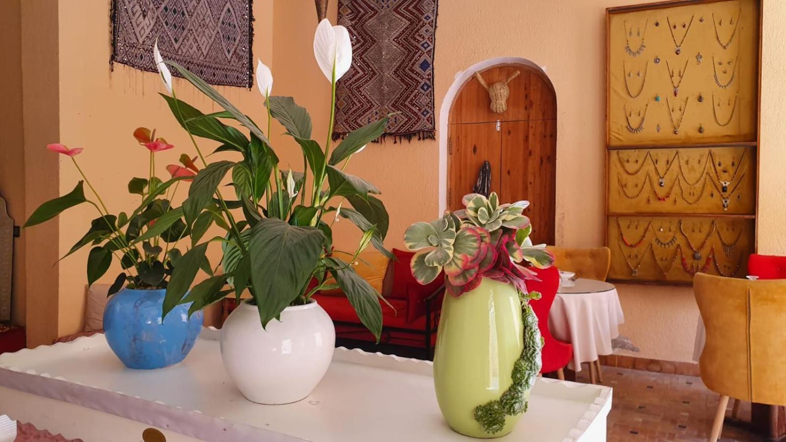 Riad Golf Stinia 2 Meknès Esterno foto
